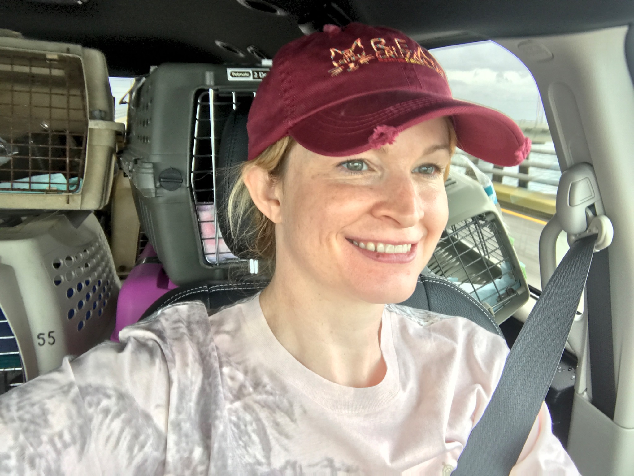 Christine driving rescued cats north
