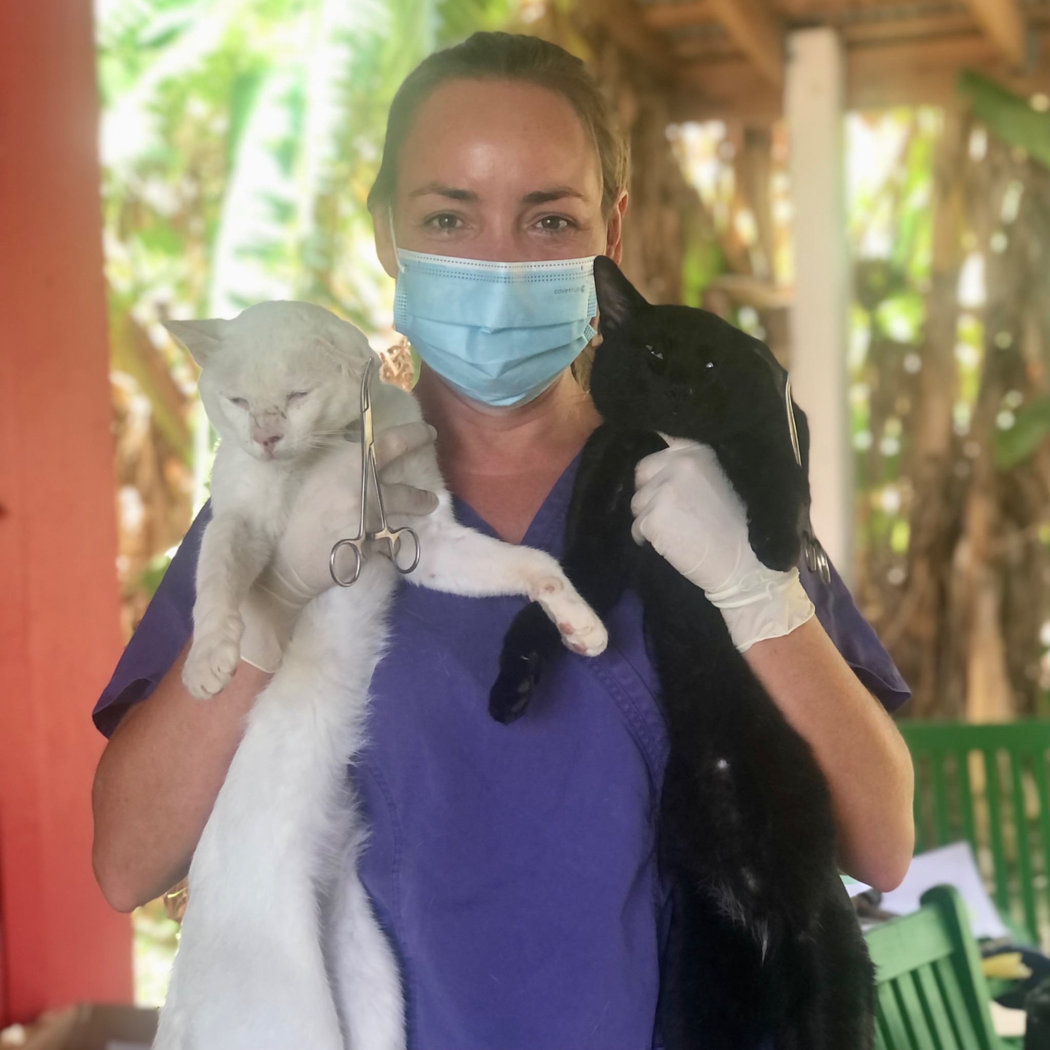 Dr. Michelle Mehalick with two cats after neuter surgery