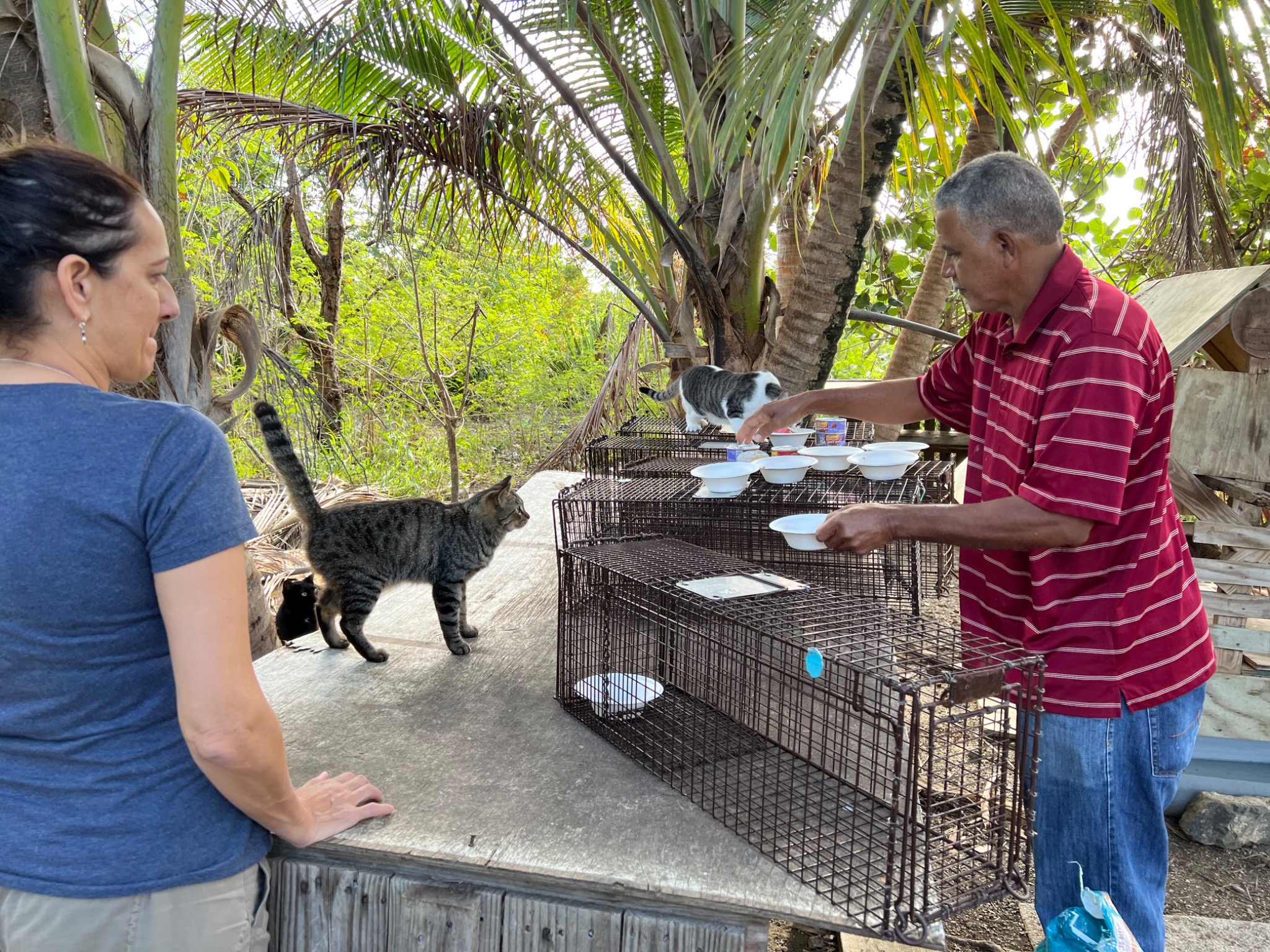 Community cat trapping work at Altona Lagoon